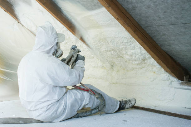 Best Insulation for New Construction  in Port Dickinson, NY